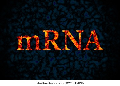 Illustration Of MRNA , Messenger RNA