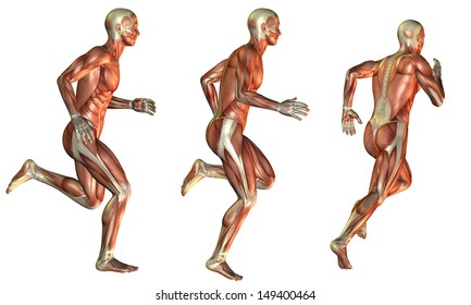 Muscle Man Running Study Stock Illustration 52109449 | Shutterstock