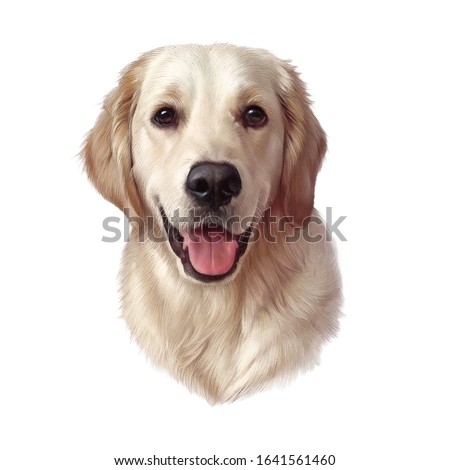 Illustration of a nice Golden Retriever isolated on white background. Guide, a disability assistance dog. Watercolor Animal art collection Dog. Hand Painted Illustration of Pet. Good for T shirt, card