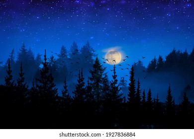 Illustration Of Night Forest With Full Moon