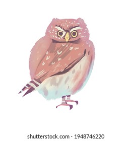 Illustration Of Northern Pygmy Owl