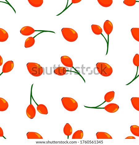 Similar – Image, Stock Photo rose hips on a bush