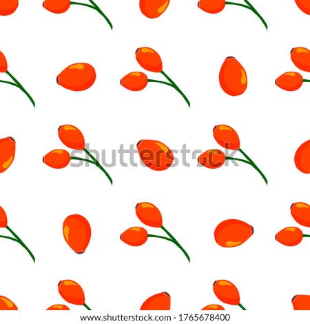 Similar – Image, Stock Photo rose hips on a bush