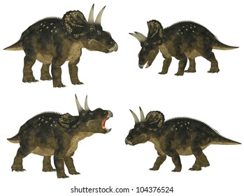 71 Nedoceratops Images, Stock Photos & Vectors | Shutterstock