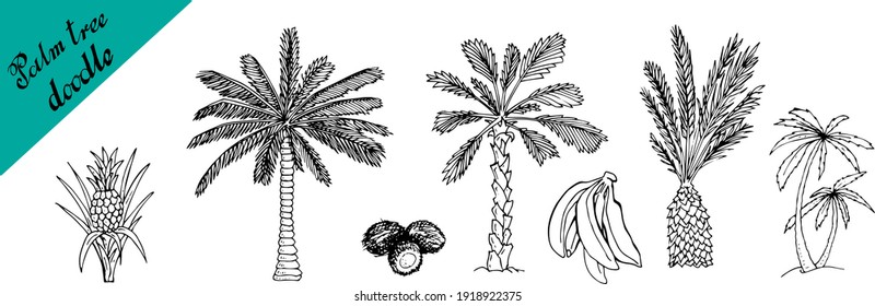 Illustration Of Palm Tree, Coconut And A Pineapple Sketch For Design, Website, Background, Banner. Hand Drawing Floral On Beach. Travel And Vacation Ink Element Template. Isolated On White.