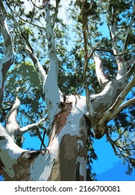 illustration of a pattern of eucalyptus branches on a blue sky b