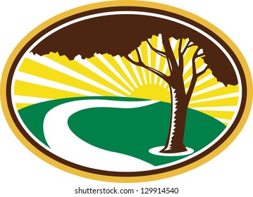 Illustration Of A Pecan Tree Silhouette With Winding River Stream And Sunburst In Background Done In Retro Style.