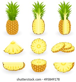 Similar Images Stock Photos Vectors Of Pineapple Whole Pineapple Ananas And Parts Leaves Slices Core Set Of Fruits Flat Design Graphic Elements Vector Illustration Isolated On White Background Shutterstock