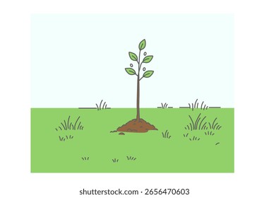 Illustration of a Planted Sapling
