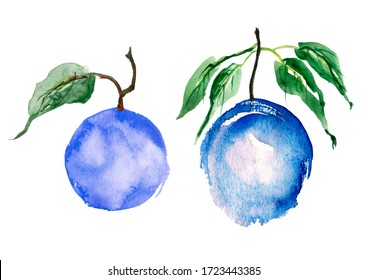 Illustration - Plum Watercolor On An Isolated White Background. Plums With Leaves, Hand Drawing, Watercolor. Handmade Watercolour Design.Set Of Watercolor Illustrations Of Plum Tree With Green Leave