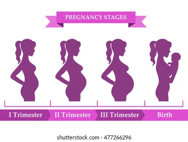 3,354 Pregnant woman infographic Images, Stock Photos & Vectors ...