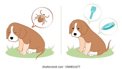 Illustration Puppy Dog Feels Bad From A Tick Bite. Tick Season, Dog Grooming. Dog Feels Good After Ampoule With Vaccine And Special Collar.