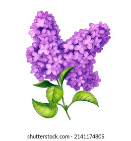 2,154 Lilac brunch Images, Stock Photos & Vectors | Shutterstock