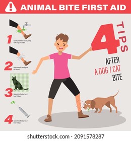Illustration der Tollwutkrankheit bei Hundeangriffen, Animal Bite first AID.
