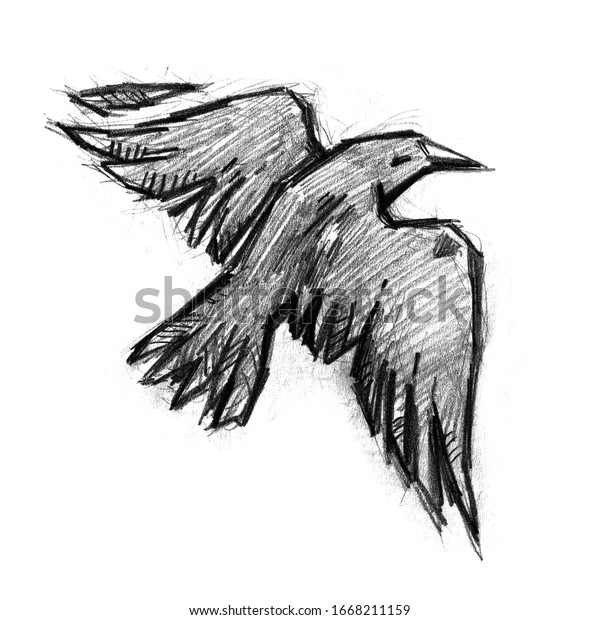 烏や烏を使ったイラスト 鉛筆で手描き 空飛ぶ黒鳥 のイラスト素材