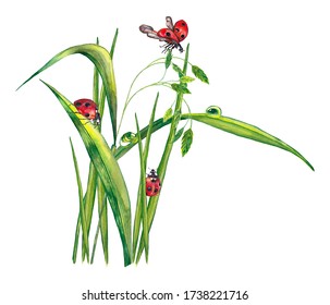 Illustration realistic summer plants