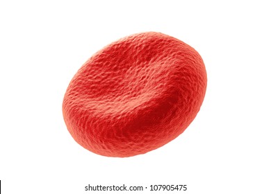 Illustration Of Red Blood Cells In High Detail  /  See My Portfolio For More Works