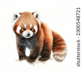 Illustration with red panda in watercolor style