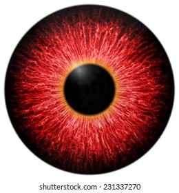 Illustration Of Red Scary Eye Isolated On White