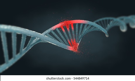 Illustration Of Ribonucleic Acid Or Dna Strand 