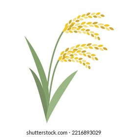 Illustration Of Rice Just Before Harvest