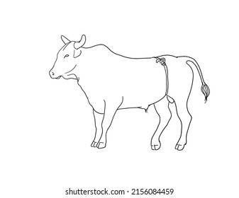 Illustration Of Rodeo Bucking Bull