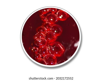 An Illustration Of A Round Die Cut Sticker Mock Up. The Sticker Has An Image Of Red Bubbles In Liquid.