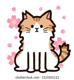 Illustration of "Sakura cat" and cherry blossoms. "Sakura cat" is a Japanese stray cat with a cut ear tip and has undergone contraceptive surgery. It has long hair and is brown and white.