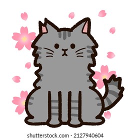 Illustration of "Sakura cat" and cherry blossoms. "Sakura cat" is a Japanese stray cat with a cut ear tip and has undergone contraceptive surgery. It has long hair and a gray coat color.