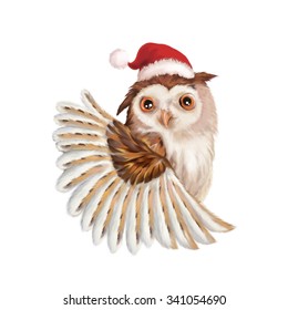 Illustration: Santa Claus Owl  The Big Santa Claus Owl and Christmas Hat  Realistic Fantastic Cartoon Style Creative Idea / Character / Scene / Background / Wallpaper Design 
