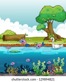 Illustration sea creatures and duck