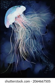 Illustration Sea Life Creative Image 