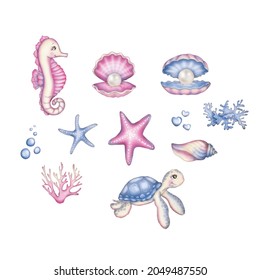 illustration of seabed elements bubbles hearts ocean starfish seaweed seahorse turtle and shells white background painting watercolor