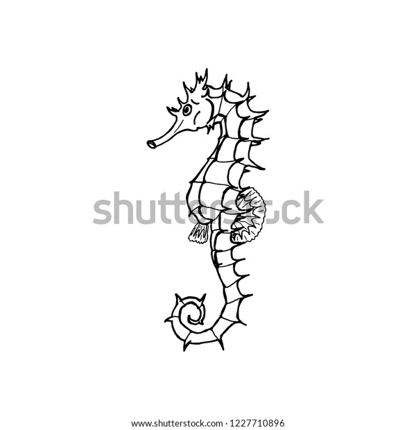 Illustration Seahorse Silhouette Hand Drawing Seahorse のイラスト素材