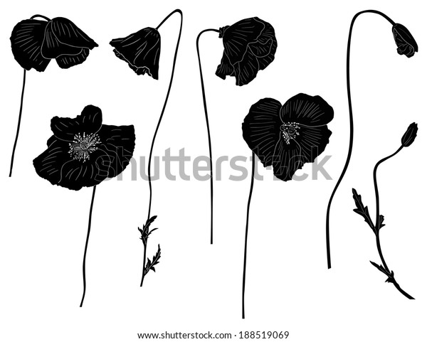 Illustration Set Poppy Silhouettes Isolated On Stock Illustration 188519069