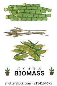 Illustration Set Of Sugar Cane, Straw And Corn (image Of Biomass)