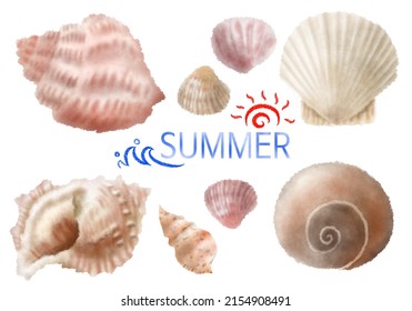 Illustration Of Shellfish, Conch, Starfish, Etc. Hand-painted On A Isolated White Background