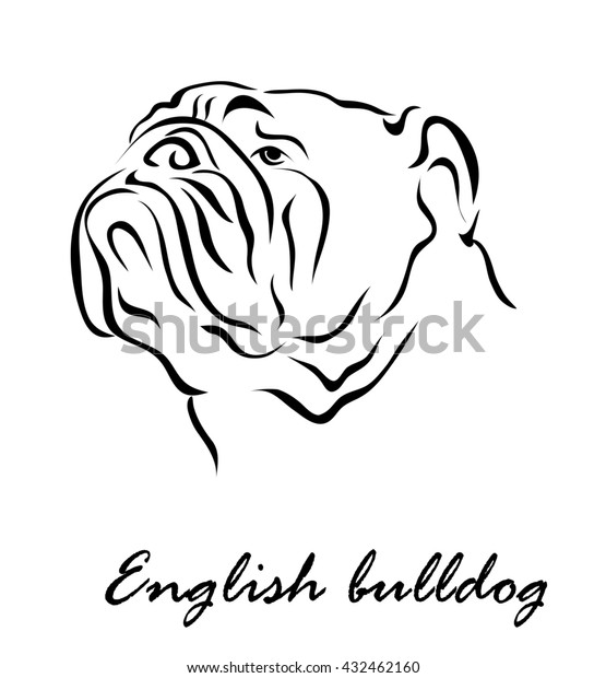 Illustration Shows Dog Breed English Bulldog Stock Illustration 