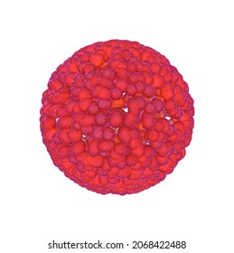 Illustration of a single-chain virus cell particle on a white background