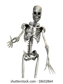 Anatomical Correct Male Skeleton 3d Rendering Stock Illustration ...