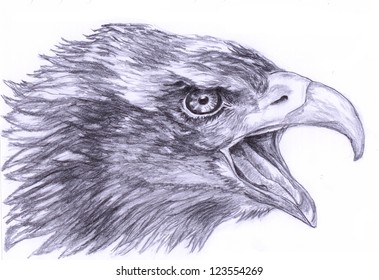 11,846 Eagle head drawing Images, Stock Photos & Vectors | Shutterstock