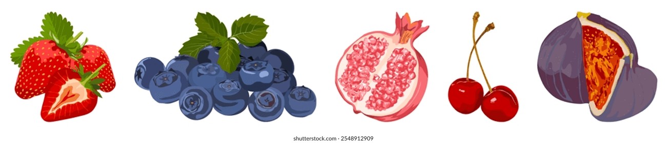 Illustration of strawberries, blueberries, pomegranate, cherries, and figs. Fresh fruits, colorful fruits, healthy fruits, and vibrant fruits in a row. Cute fruit illustrations isolated on white. - Powered by Shutterstock