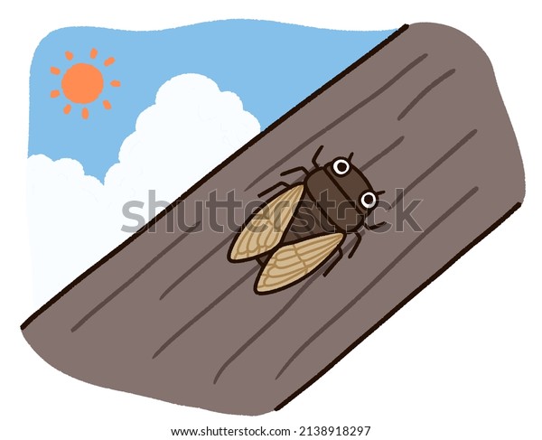 Illustration of a summer insect perching on a\
tree. Insect is the Japanese\
cicada.