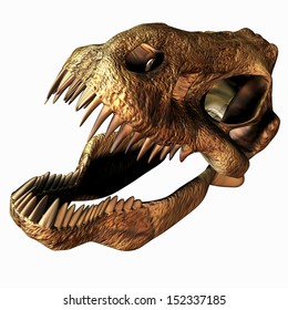 Illustration Of A T Rex Skull