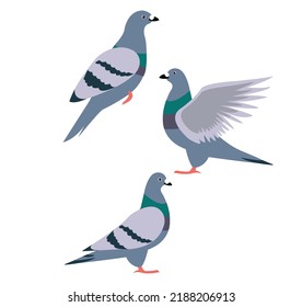 11,469 Cute cartoon pigeons Images, Stock Photos & Vectors | Shutterstock