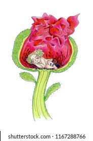 illustration with Thumbelina sleeping inside the flower