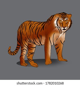 Kat Harimau Images Stock Photos Vectors Shutterstock