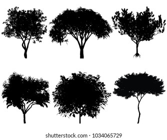 Illustration Tree Silhouettes Architectural Compositions Backgrounds ...