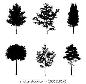 Vector Illustration Tree Silhouettes Architectural Compositions Stock ...