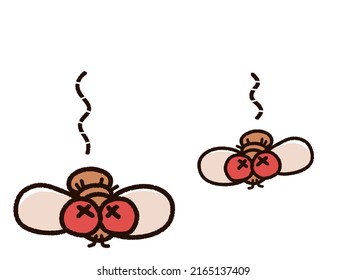 Illustration of two dead Drosophila.